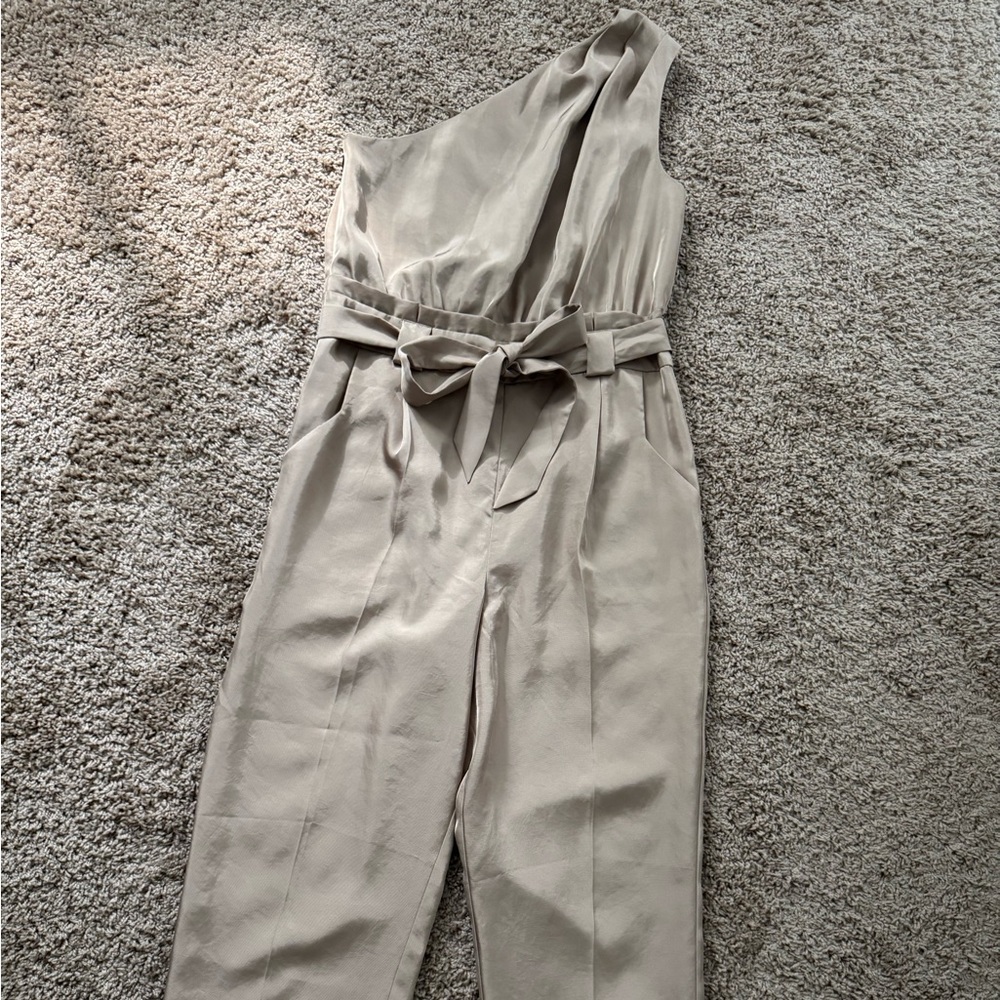Express Taupe Jumpsuit with Belt